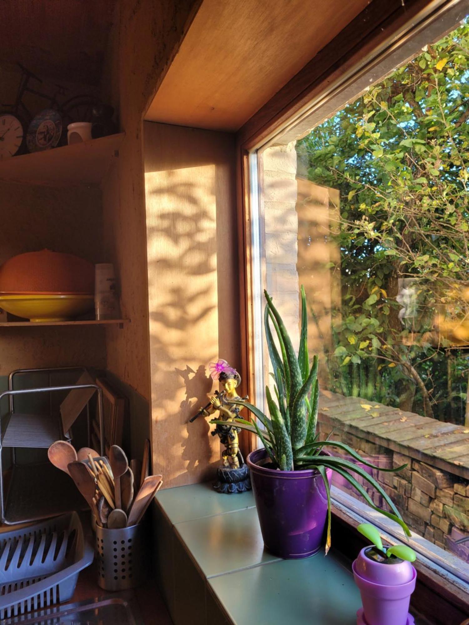 Villa Purple Papillon à Heuvelland Extérieur photo